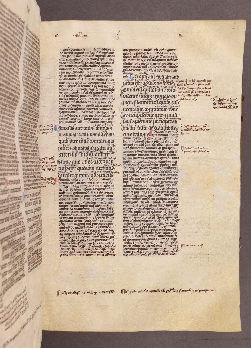 Folio 42 recto